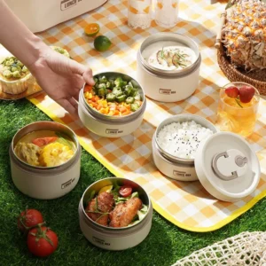 Portable insulated lunch box